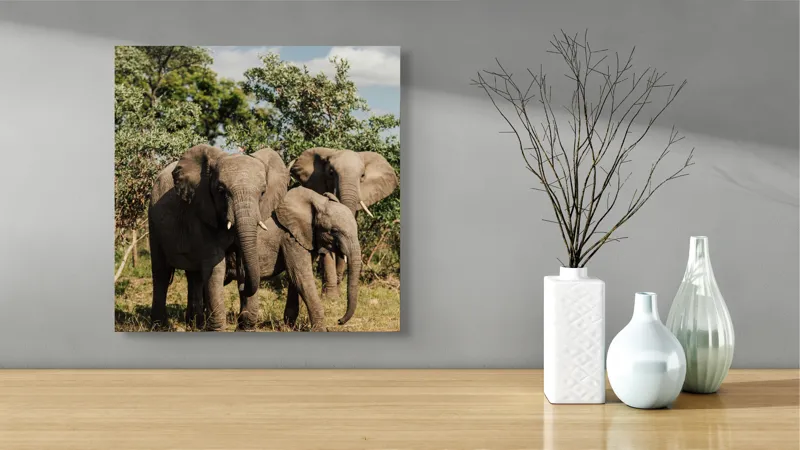 Tablou Canvas, "Familie de elefanți în savană africană", Elefanți, Arbori, Savana, Cer, Nori, Trei, Familie, Natură, Urechi, Colți, 50 x 50 cm – poza 3
