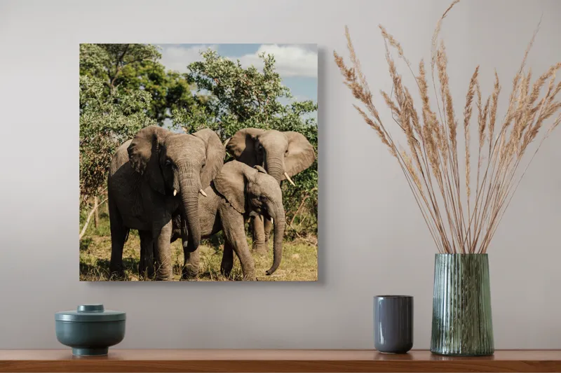 Tablou Canvas, "Familie de elefanți în savană africană", Elefanți, Arbori, Savana, Cer, Nori, Trei, Familie, Natură, Urechi, Colți, 50 x 50 cm – poza 4