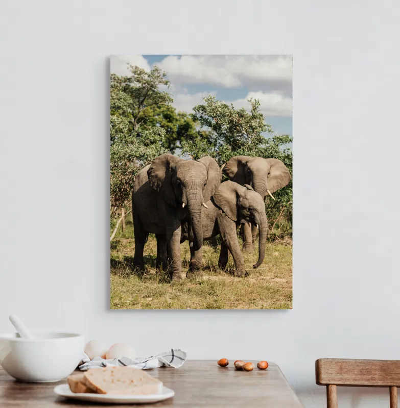 Tablou Canvas, "Familie de elefanți în savană africană", Elefanți, Arbori, Savana, Cer, Nori, Trei, Familie, Natură, Urechi, Colți, 50 x 70 cm – poza 3