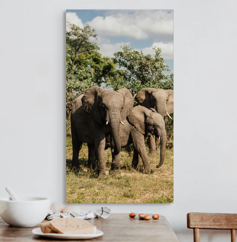 Tablou Canvas, "Familie de elefanți în savană africană", Elefanți, Arbori, Savana, Cer, Nori, Trei, Familie, Natură, Urechi, Colți, 50 x 90 cm – poza 3