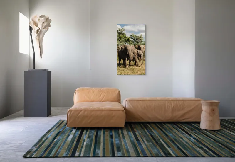 Tablou Canvas, "Familie de elefanți în savană africană", Elefanți, Arbori, Savana, Cer, Nori, Trei, Familie, Natură, Urechi, Colți, 50 x 90 cm – poza 5