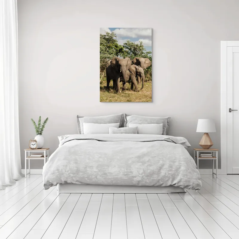 Tablou Canvas, "Familie de elefanți în savană africană", Elefanți, Arbori, Savana, Cer, Nori, Trei, Familie, Natură, Urechi, Colți, 70 x 100 cm – poza 3