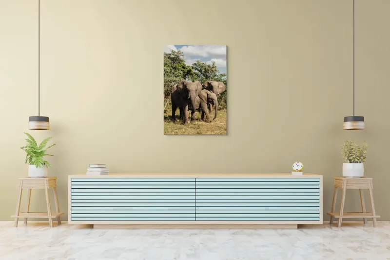 Tablou Canvas, "Familie de elefanți în savană africană", Elefanți, Arbori, Savana, Cer, Nori, Trei, Familie, Natură, Urechi, Colți, 70 x 100 cm – poza 5