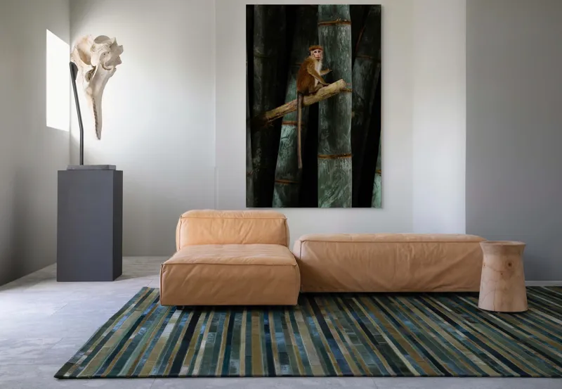 Tablou Canvas, "Maimuța pe trunchi de bambus", 100 x 150 cm – poza 7