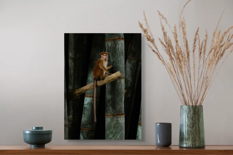 Tablou Canvas, "Maimuța pe trunchi de bambus", 39 x 54 cm – poza 3