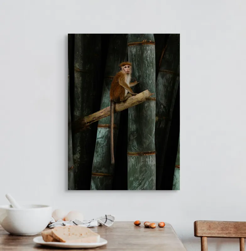 Tablou Canvas, "Maimuța pe trunchi de bambus", 50 x 70 cm – poza 3