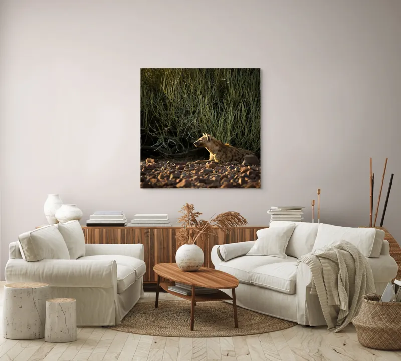 Tablou Canvas, "Hiena odihnindu-se la apusul soarelui", 100 x 100 cm – poza 3