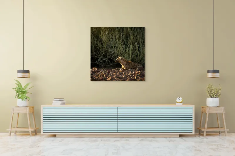 Tablou Canvas, "Hiena odihnindu-se la apusul soarelui", 100 x 100 cm – poza 5