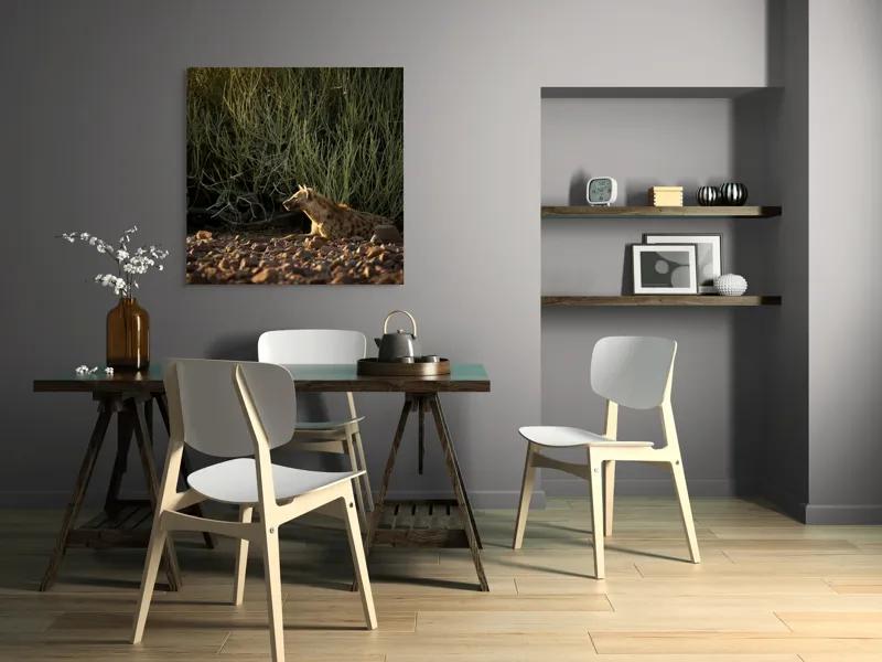 Tablou Canvas, "Hiena odihnindu-se la apusul soarelui", 100 x 100 cm – poza 6