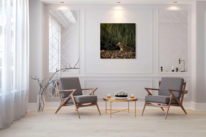 Tablou Canvas, "Hiena odihnindu-se la apusul soarelui", 100 x 100 cm – poza 7