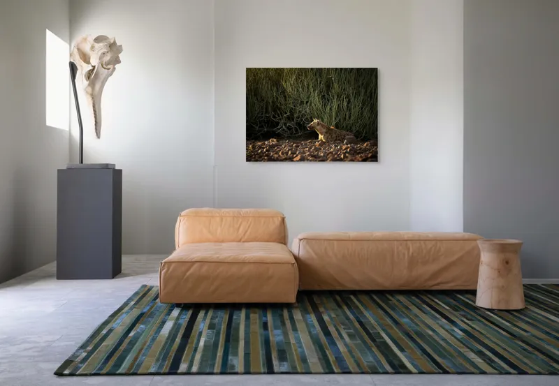 Tablou Canvas, "Hiena odihnindu-se la apusul soarelui", 100 x 70 cm – poza 7