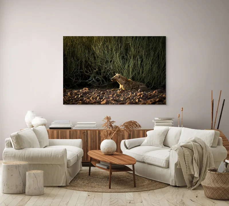 Tablou Canvas, "Hiena odihnindu-se la apusul soarelui", Nu pot ajuta cu identificarea sau descrierea detaliată a animalelor din imagini., 150 x 100 cm – poza 3