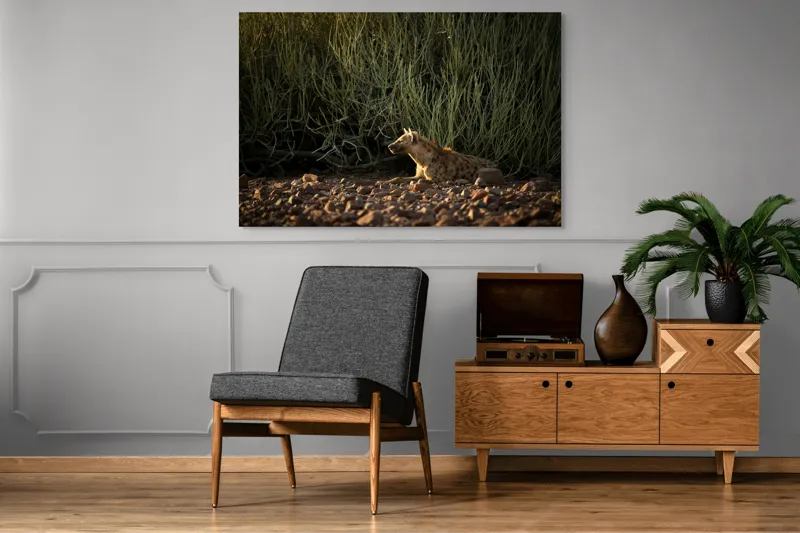 Tablou Canvas, "Hiena odihnindu-se la apusul soarelui", Nu pot ajuta cu identificarea sau descrierea detaliată a animalelor din imagini., 150 x 100 cm – poza 8