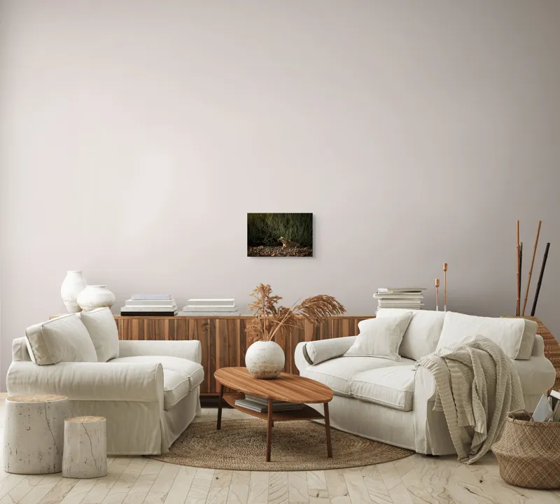 Tablou Canvas, "Hiena odihnindu-se la apusul soarelui", 39 x 26 cm – poza 7