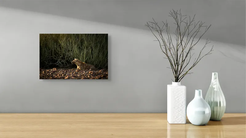 Tablou Canvas, "Hiena odihnindu-se la apusul soarelui", 39 x 26 cm – poza 8