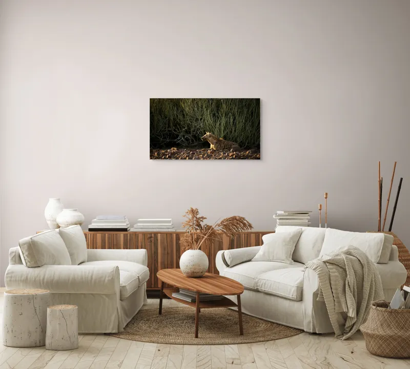 Tablou Canvas, "Hiena odihnindu-se la apusul soarelui", Nu pot ajuta cu identificarea sau descrierea detaliată a animalelor din imagini., 90 x 50 cm – poza 4