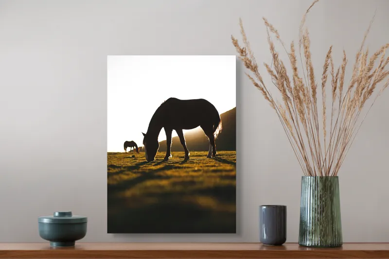 Tablou Canvas, "Cai păscând la apus liniștit", Cal, Siluetă, Pășune, Apus, Tranquilitate, 39 x 54 cm – poza 3