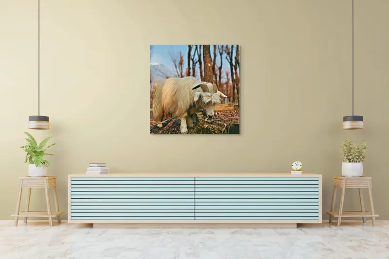 Tablou Canvas, "Capra în căutarea ierbii proaspete", 100 x 100 cm – poza 5