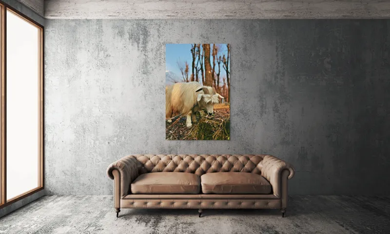 Tablou Canvas, "Capra în căutarea ierbii proaspete", 100 x 150 cm – poza 6