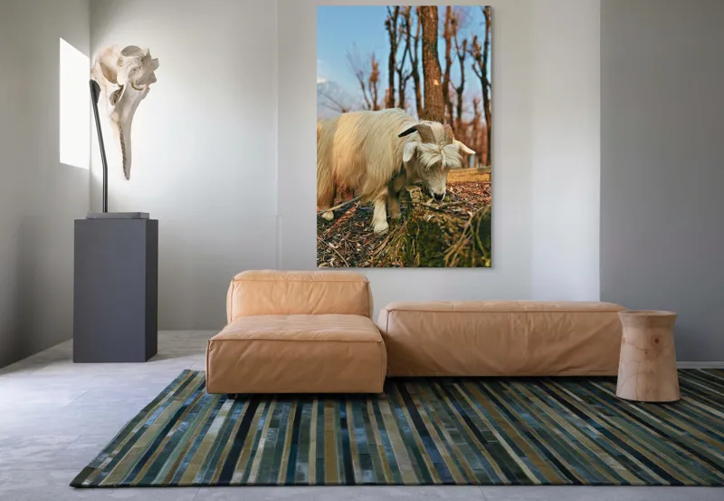 Tablou Canvas, "Capra în căutarea ierbii proaspete", 100 x 150 cm – poza 7