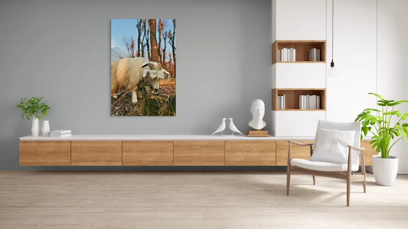 Tablou Canvas, "Capra în căutarea ierbii proaspete", 100 x 150 cm – poza 8