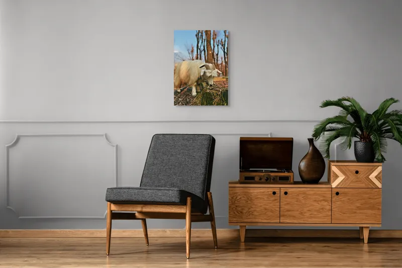 Tablou Canvas, "Capra în căutarea ierbii proaspete", 50 x 70 cm – poza 8