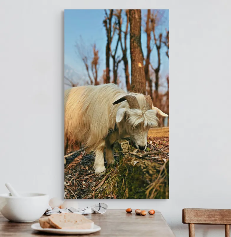 Tablou Canvas, "Capra în căutarea ierbii proaspete", 50 x 90 cm – poza 3