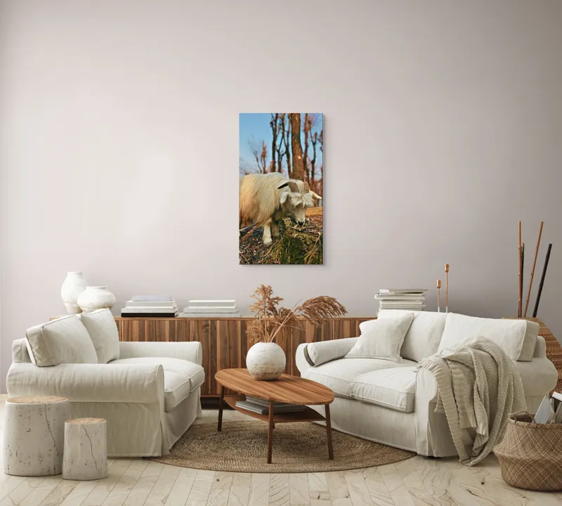 Tablou Canvas, "Capra în căutarea ierbii proaspete", 50 x 90 cm – poza 7