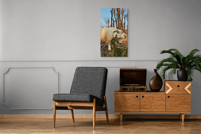 Tablou Canvas, "Capra în căutarea ierbii proaspete", 50 x 90 cm – poza 8