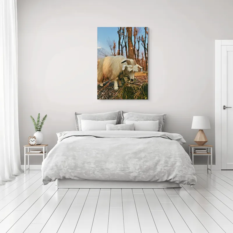 Tablou Canvas, "Capra în căutarea ierbii proaspete", 70 x 100 cm – poza 3