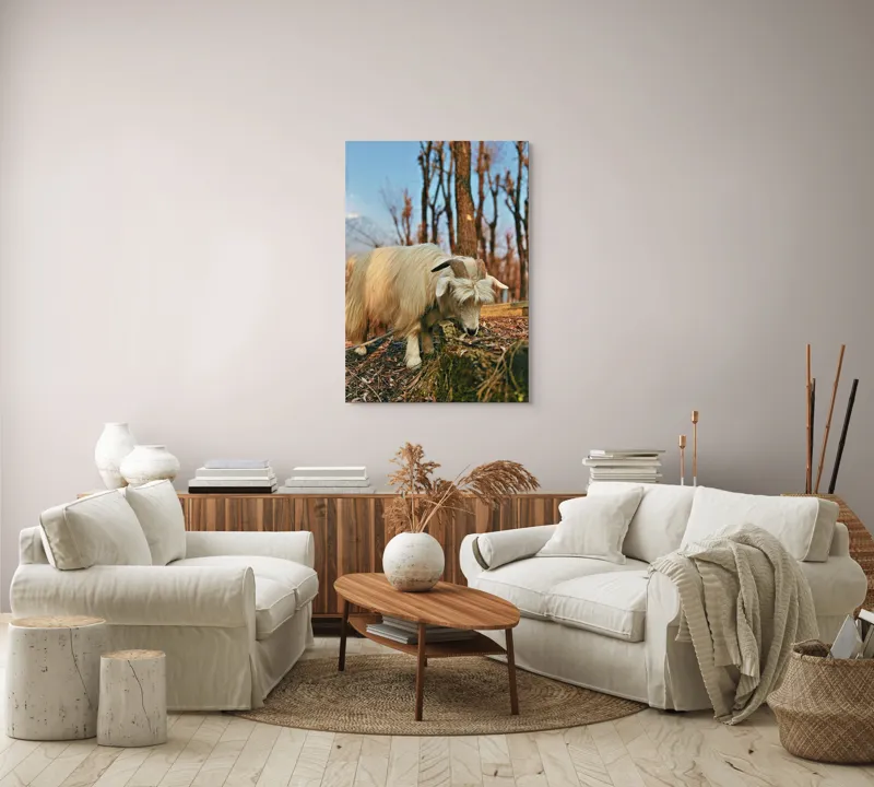 Tablou Canvas, "Capra în căutarea ierbii proaspete", 70 x 100 cm – poza 4