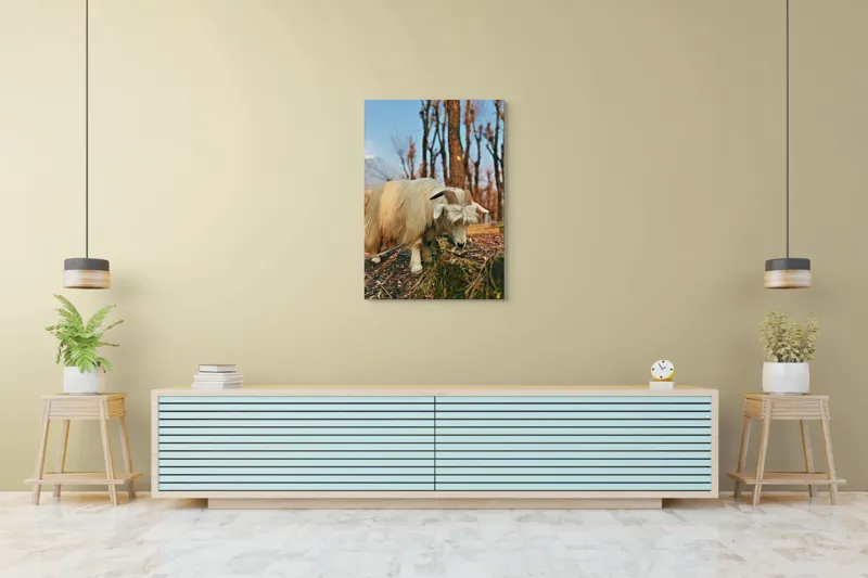 Tablou Canvas, "Capra în căutarea ierbii proaspete", 70 x 100 cm – poza 5