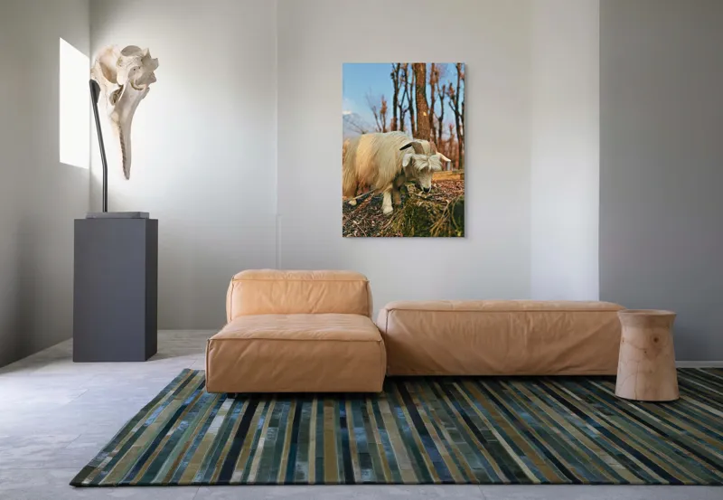 Tablou Canvas, "Capra în căutarea ierbii proaspete", 70 x 100 cm – poza 7