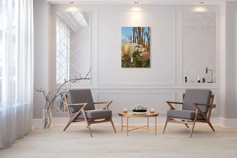Tablou Canvas, "Capra în căutarea ierbii proaspete", 70 x 100 cm – poza 8