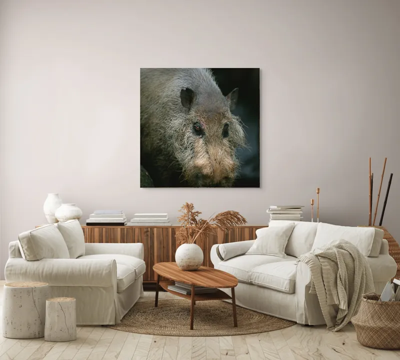 Tablou Canvas, 100 x 100 cm – poza 3