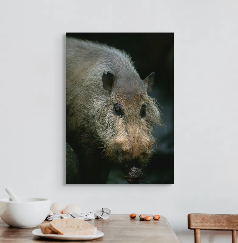 Tablou Canvas, 50 x 70 cm – poza 3