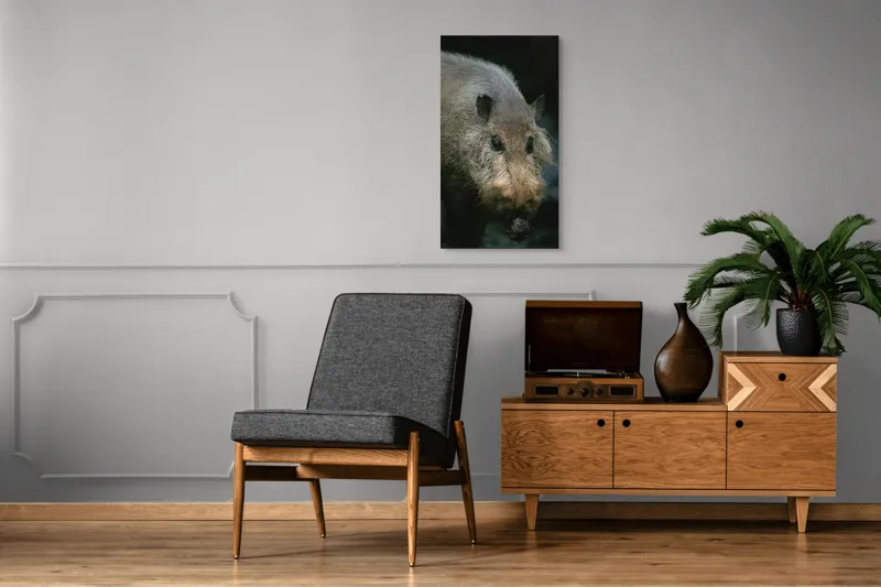 Tablou Canvas, 50 x 90 cm – poza 8