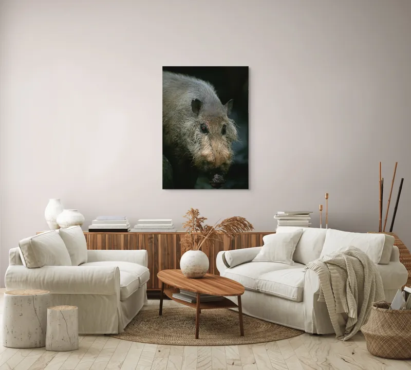 Tablou Canvas, 70 x 100 cm – poza 4
