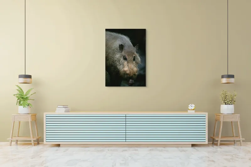 Tablou Canvas, 70 x 100 cm – poza 5