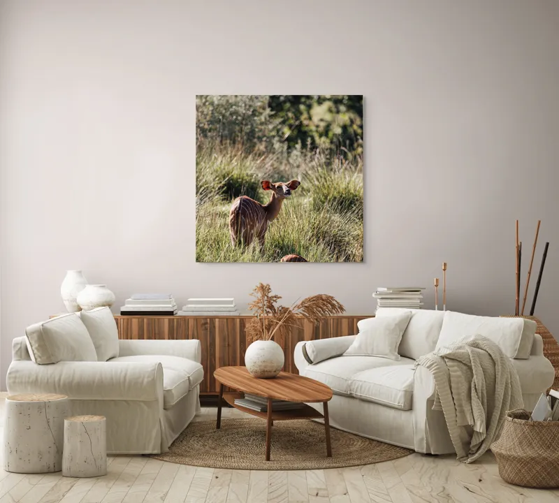 Tablou Canvas, "Cerbi în lumina dimineții liniștite", Plante, Curiozitate, Dungat, Natură, Iarbă, Serenitate, Animale, Verde, Sălbăticie, 100 x 100 cm – poza 3