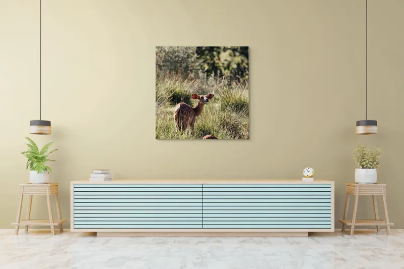 Tablou Canvas, "Cerbi în lumina dimineții liniștite", Plante, Curiozitate, Dungat, Natură, Iarbă, Serenitate, Animale, Verde, Sălbăticie, 100 x 100 cm – poza 5