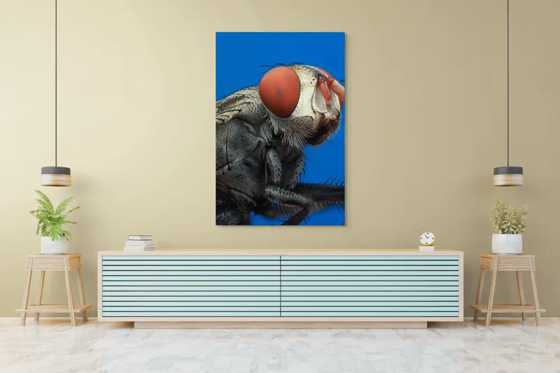 Tablou Canvas, "Musca sub cerul albastru intens", Ochi, Roșii, Textură, Metalic, Detaliat, Contrast, Insectă, Macro, Natură, 100 x 150 cm – poza 4