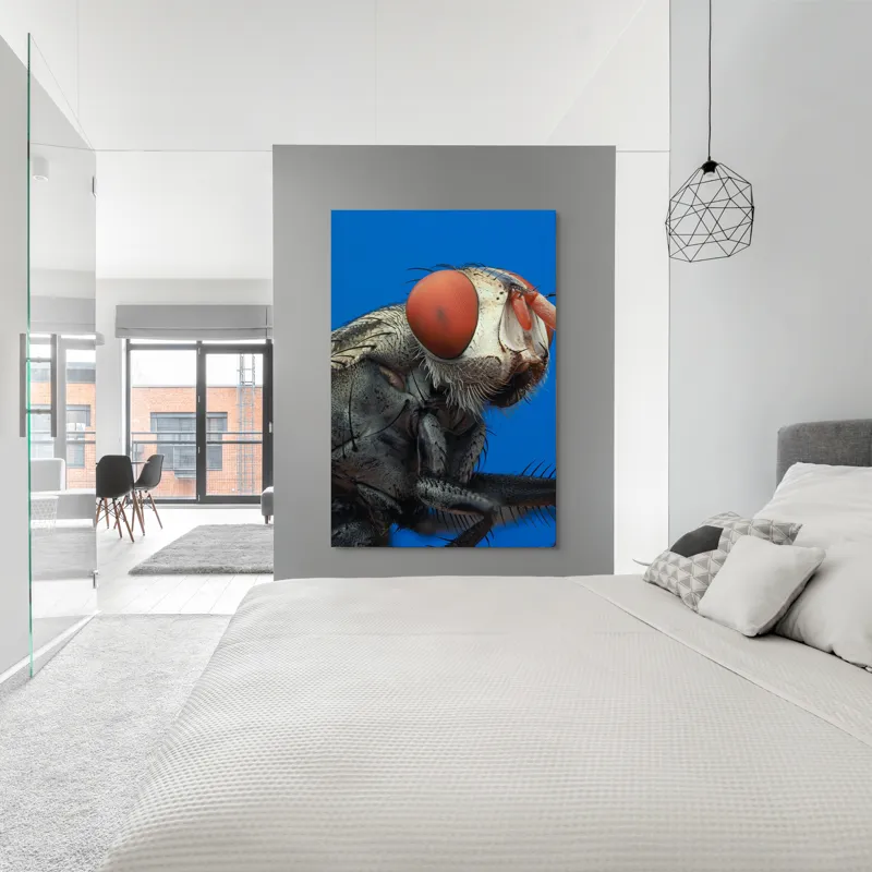 Tablou Canvas, "Musca sub cerul albastru intens", Ochi, Roșii, Textură, Metalic, Detaliat, Contrast, Insectă, Macro, Natură, 100 x 150 cm – poza 5