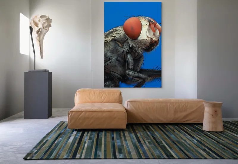 Tablou Canvas, "Musca sub cerul albastru intens", Ochi, Roșii, Textură, Metalic, Detaliat, Contrast, Insectă, Macro, Natură, 100 x 150 cm – poza 7