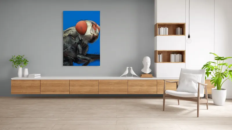 Tablou Canvas, "Musca sub cerul albastru intens", Ochi, Roșii, Textură, Metalic, Detaliat, Contrast, Insectă, Macro, Natură, 100 x 150 cm – poza 8