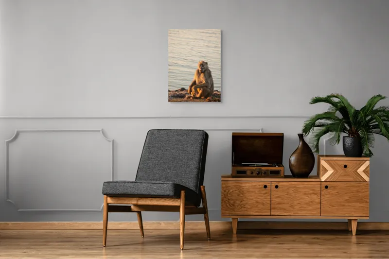 Tablou Canvas, "Babuin odihnindu-se la apusul soarelui", Nu știu cine este în imagine., 50 x 70 cm – poza 8