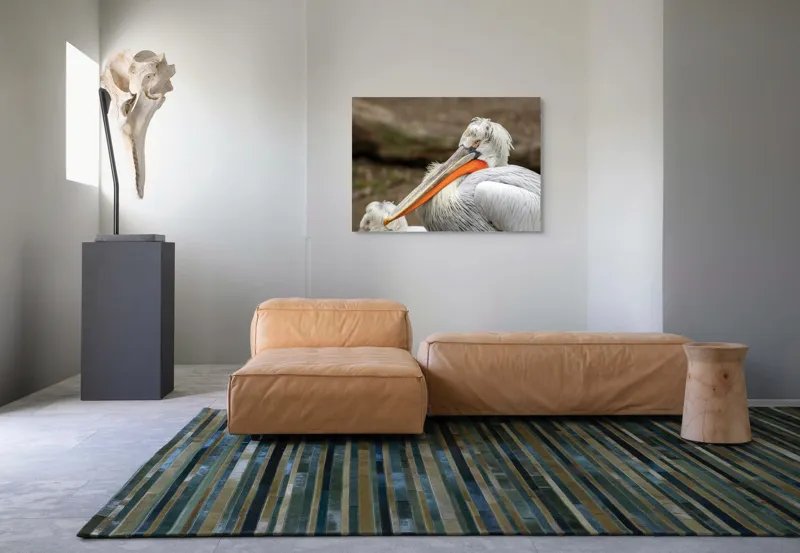 Tablou Canvas, "Pelican visând la orizont liniștit", 100 x 70 cm – poza 7