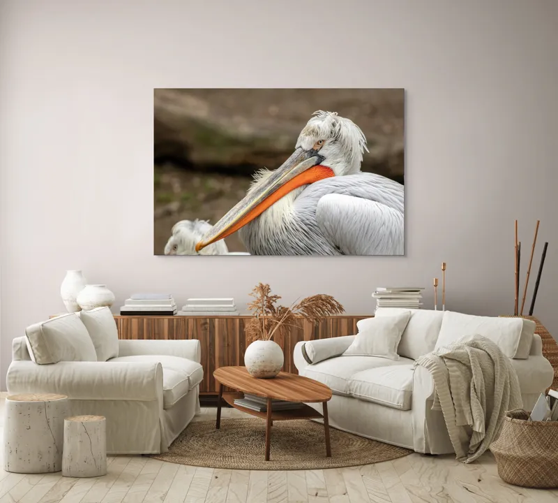 Tablou Canvas, "Pelican visând la orizont liniștit", 150 x 100 cm – poza 3