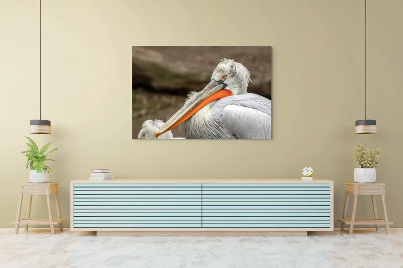 Tablou Canvas, "Pelican visând la orizont liniștit", 150 x 100 cm – poza 6