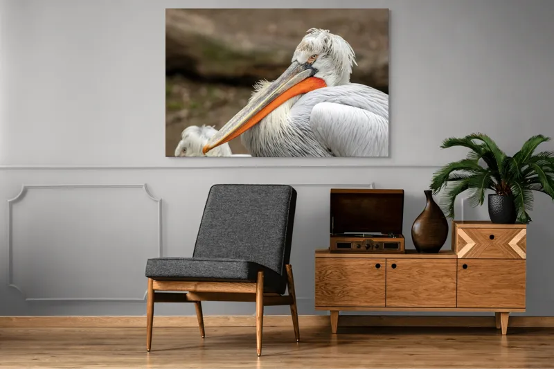 Tablou Canvas, "Pelican visând la orizont liniștit", 150 x 100 cm – poza 8